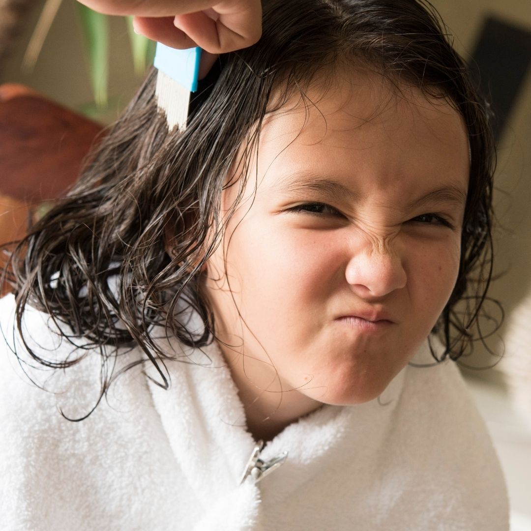 My child has HEAD LICE.. NOW WHAT?